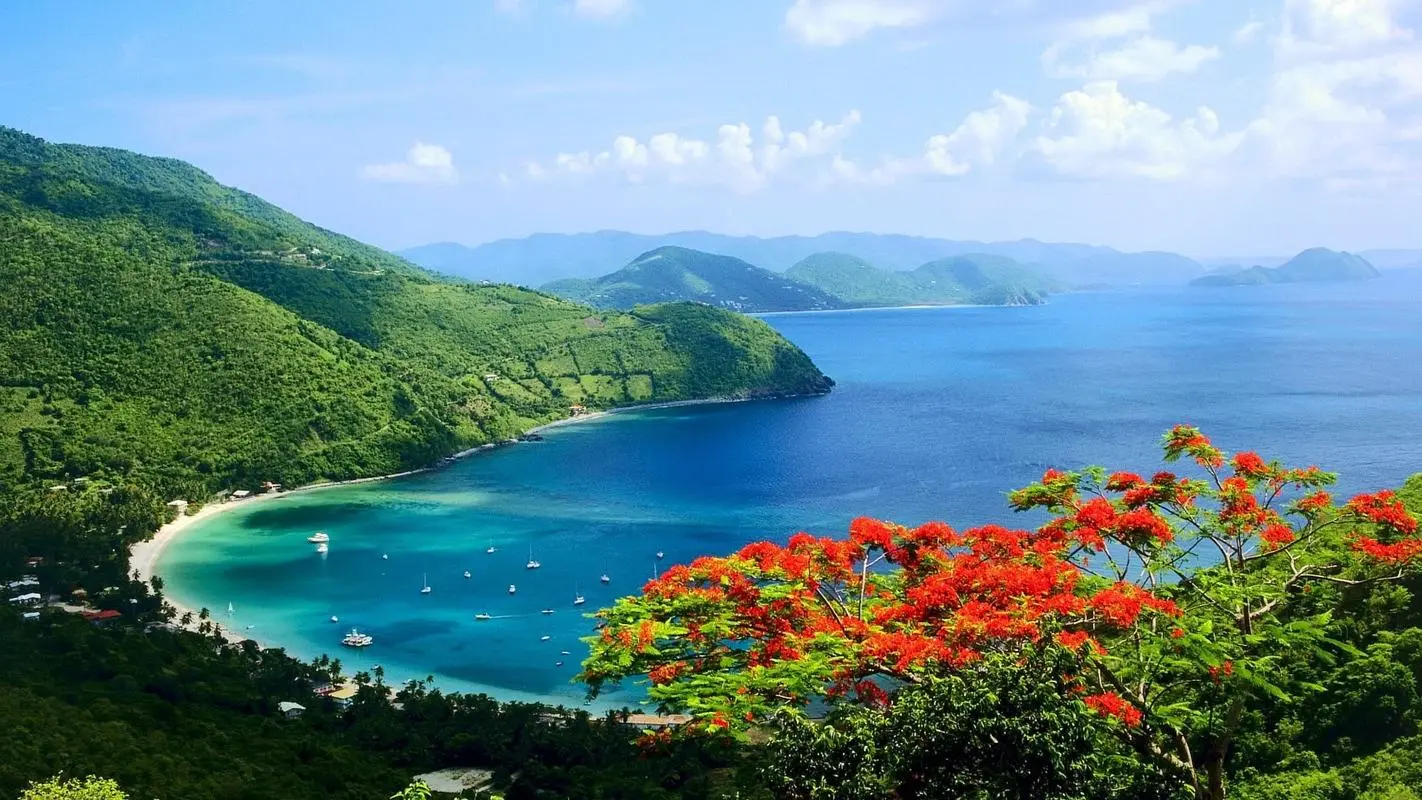 自动化高效智慧
